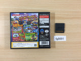 A Penguin's Troubles The World BOXED Nintendo DS Japan - FG8691