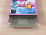 Yuujin Janjuu Gakuen 2 Mahjong BOXED SNES Super Famicom Japan - UC4235