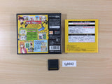 Phantom thief Rousseau BOXED Nintendo DS Japan - FG8692