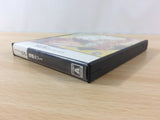Phantom thief Rousseau BOXED Nintendo DS Japan - FG8692