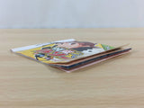Phantom thief Rousseau BOXED Nintendo DS Japan - FG8692