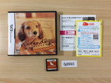 Nintendo Dogs Dachs and Friends BOXED Nintendo DS Japan - FG8693