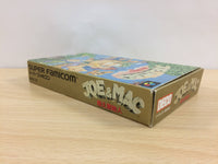 UB4915 Joe & Mac Tatakae Genshijin BOXED SNES Super Famicom Japan