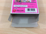 Yokai Buster Ruka No Daibouken The Jetsons BOXED SNES Super Famicom - UC9552