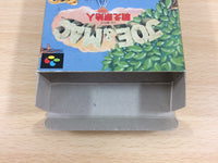 UB4915 Joe & Mac Tatakae Genshijin BOXED SNES Super Famicom Japan