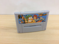UB4915 Joe & Mac Tatakae Genshijin BOXED SNES Super Famicom Japan
