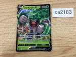 CA2183 RillaboomV Grass RR S4a 009/190 Pokemon Card TCG Japan