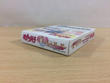Hana Yori Dango Another Love Story BOXED GameBoy Game Boy Japan - UB3858
