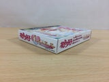 Hana Yori Dango Another Love Story BOXED GameBoy Game Boy Japan - UB3858