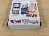 Hana Yori Dango Another Love Story BOXED GameBoy Game Boy Japan - UB3858