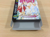 Hana Yori Dango Another Love Story BOXED GameBoy Game Boy Japan - UB3858
