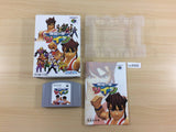 Flying Dragon Hiryu no Ken Twin BOXED N64 Nintendo 64 Japan - UC9085