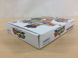 Flying Dragon Hiryu no Ken Twin BOXED N64 Nintendo 64 Japan - UC9085