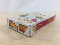 ud5252 The Lost Vikings Viking no Daimeiwaku BOXED SNES Super Famicom Japan