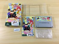 ua9855 Super Zugan Mahjong BOXED SNES Super Famicom Japan