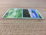 Turtwig Grass - EP08 Turtwig Pokemon Card TCG Japan - CA6885