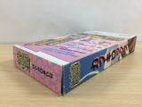 Kabuki Rocks BOXED SNES Super Famicom Japan - UB6776