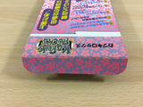 Kabuki Rocks BOXED SNES Super Famicom Japan - UB6776