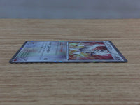 CC3795 Furfrou Colorless R XY1Y 053/060 Pokemon Card TCG Japan