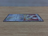 CC3795 Furfrou Colorless R XY1Y 053/060 Pokemon Card TCG Japan