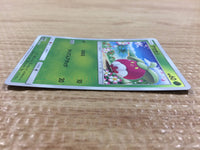 cb1653 Bounsweet Grass - SM12a 012/173 Pokemon Card TCG Japan
