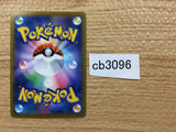 CB3096 GarchompV Dragon RR s9a 054/067 Pokemon Card TCG Japan