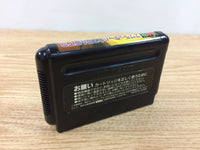 DH8199 Splatterhouse Part 3 BOXED Mega Drive Genesis Japan