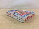 Sumo Fighter Toukaido Basyo BOXED GameBoy Game Boy Japan - UC5528