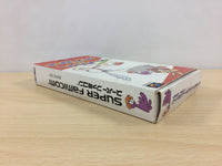 UB3348 Looney Tunes Road Runner vs. Wily E Coyote BOXED SNES Super Famicom Japan