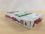 Mr. Do! BOXED SNES Super Famicom Japan - UC9814