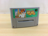 Yam Yam BOXED SNES Super Famicom Japan - UA9348