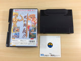 World Heroes Perfect BOXED NEO GEO AES Japan - UD2637