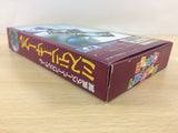 Mystery Circle BOXED SNES Super Famicom Japan - UC3773