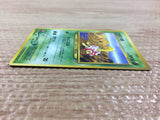 CB6933 Shuckle BugRock - neo1 213 Pokemon Card TCG Japan