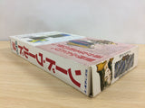 Sword World SFC 2 Inishie no KyojinDensetsu BOXED SNES SuperFamicom - UB6930