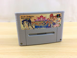 Arabian Nights Sabaku no Seirei Ou BOXED SNES Super Famicom Japan - UA9739