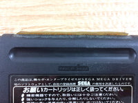 di2035 Tel Tel Stadium Mega Drive Genesis Japan