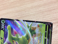 CA9849 VirizionV Grass RR s9a 010/067 Pokemon Card TCG Japan