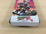 Rushing Beat Ran Rival Turf! Brawl Brothers BOXED SNES SuperFamicom - UD1415