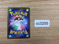 cc3255 Zeraora VSTAR Lightning RRR s12a 042/172 Pokemon Card TCG Japan