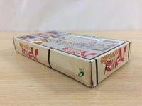 ud5265 Violinist of Hameln Hamelin no Violin Hiki BOXED SNES Super Famicom Japan