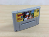 Donald in Maui Mallard in Cold Shadow BOXED SNES Super Famicom Japan - UD8948