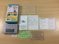 ub2448 Libble Rabble BOXED SNES Super Famicom Japan