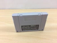 ub2448 Libble Rabble BOXED SNES Super Famicom Japan