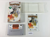 DE9851 PowerMonger Powermonger Mashou no Bouryaku BOXED SNES Super Famicom Japan