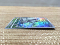 CD2858 Absol AR s12a 191/172 Pokemon Card TCG Japan