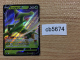 Virizion V Grass RR s9a 010/067 Pokemon Card TCG Japan - CB5674