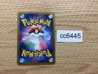 cc6445 Pikachu Electric PROMO PROMO 001/XY-P Pokemon Card TCG Japan