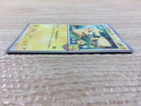 cc6445 Pikachu Electric PROMO PROMO 001/XY-P Pokemon Card TCG Japan