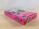 Ghost Sweeper Mikami BOXED SNES Super Famicom Japan - UC6742